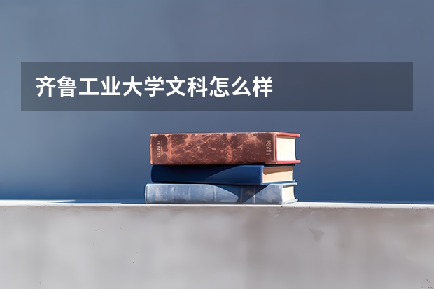 齐鲁工业大学文科怎么样