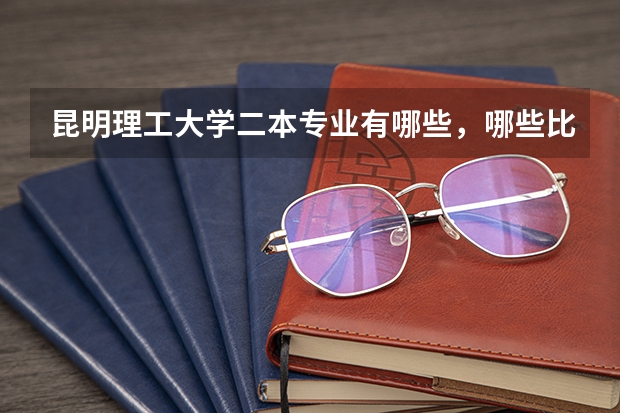 昆明理工大学二本专业有哪些，哪些比较好