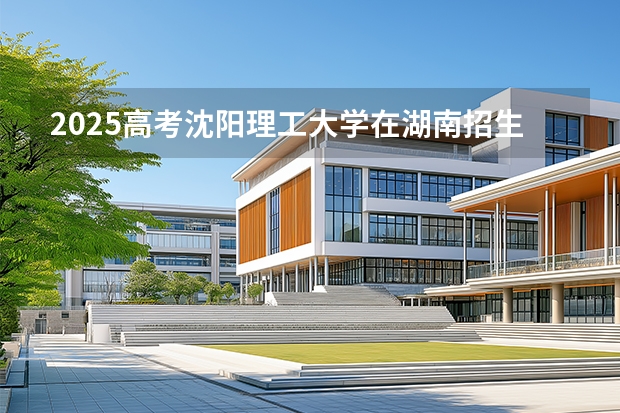 2025高考沈阳理工大学在湖南招生计划（2026参考）
