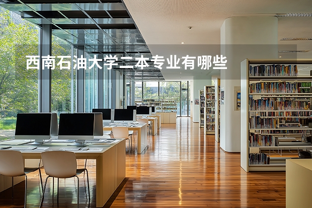 西南石油大学二本专业有哪些