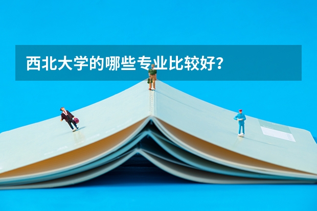 西北大学的哪些专业比较好？