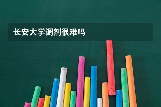 长安大学调剂很难吗