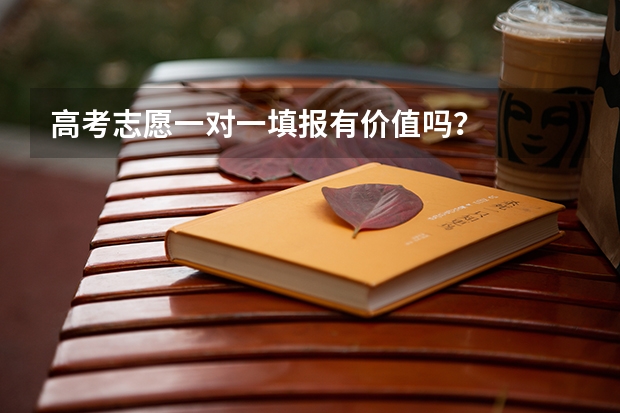 高考志愿一对一填报有价值吗？