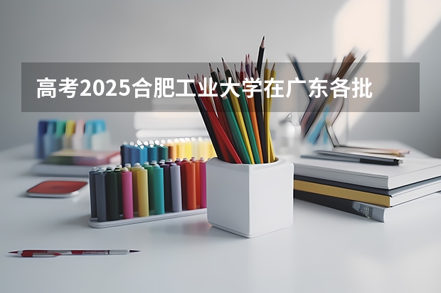 高考2025合肥工业大学在广东各批次选科要求（2026参考）