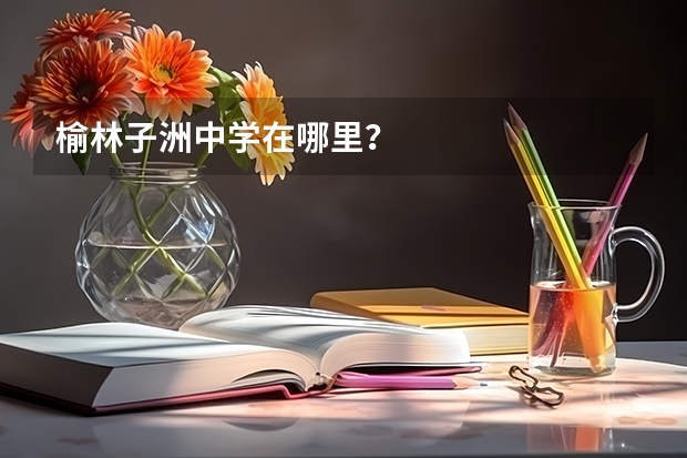 榆林子洲中学在哪里？
