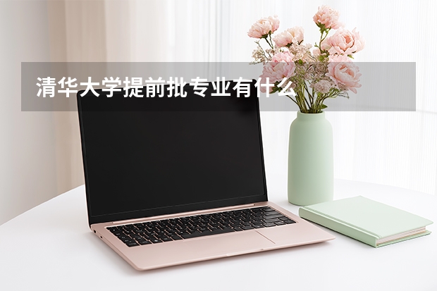 清华大学提前批专业有什么