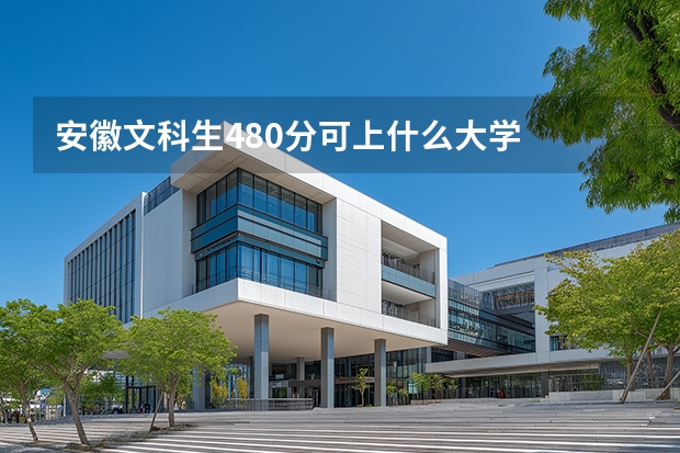 安徽文科生480分可上什么大学