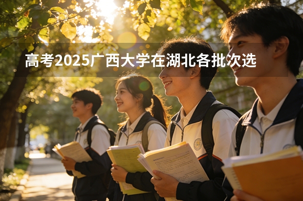 高考2025广西大学在湖北各批次选科要求（2026参考）