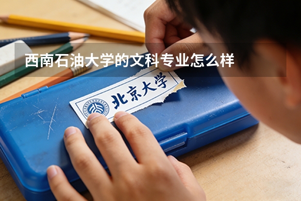 西南石油大学的文科专业怎么样