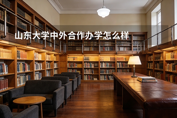 山东大学中外合作办学怎么样