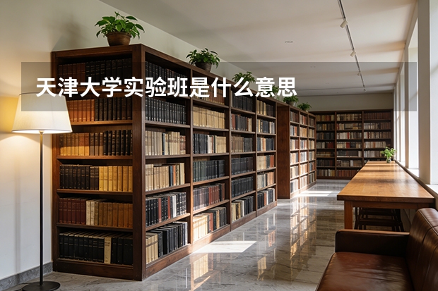 天津大学实验班是什么意思