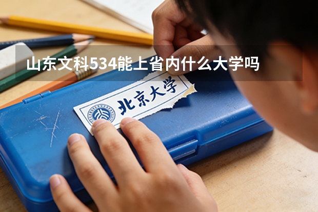 山东文科534能上省内什么大学吗