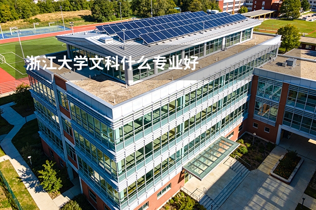 浙江大学文科什么专业好
