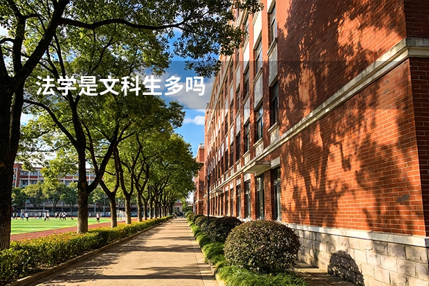 法学是文科生多吗