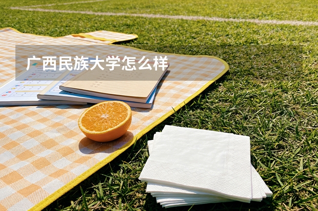 广西民族大学怎么样