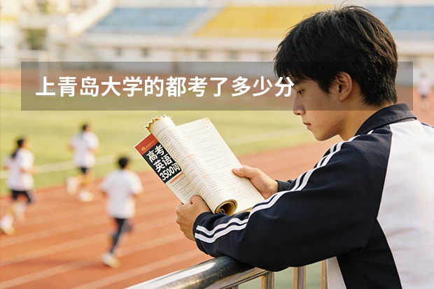 上青岛大学的都考了多少分