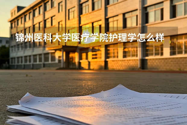 锦州医科大学医疗学院护理学怎么样