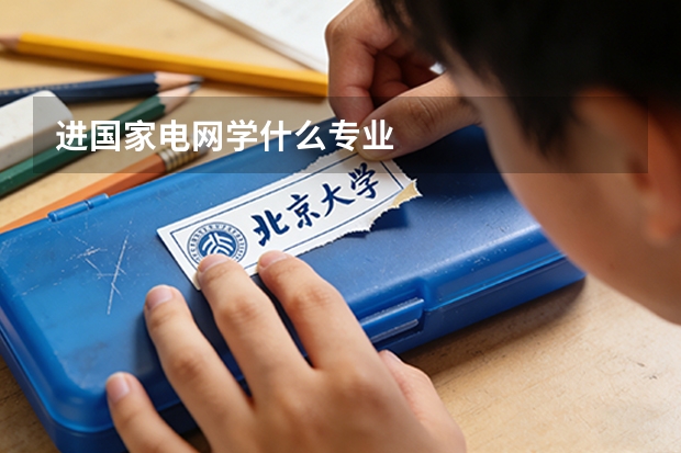 进国家电网学什么专业