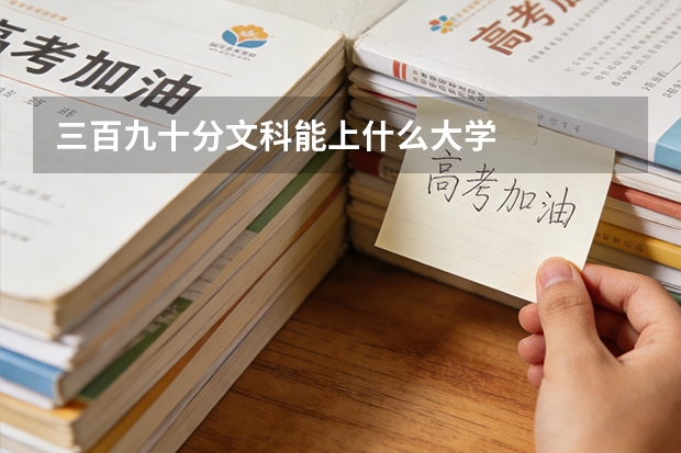 三百九十分文科能上什么大学