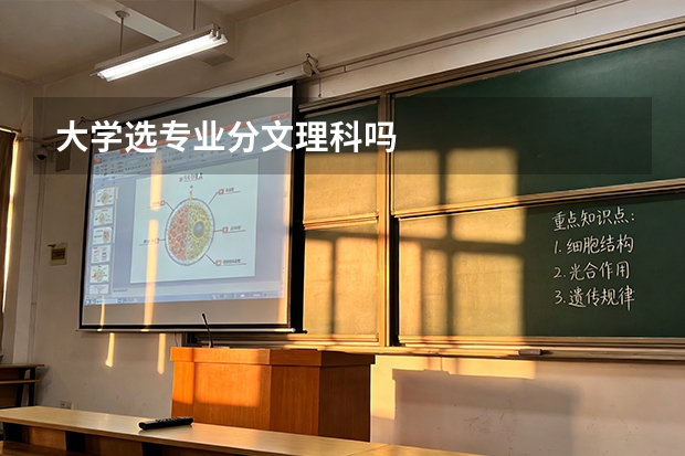 大学选专业分文理科吗