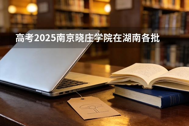 高考2025南京晓庄学院在湖南各批次选科要求（2026参考）