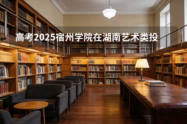 高考2025宿州学院在湖南艺术类投档分数线（2026参考）