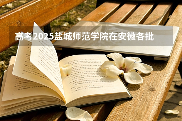 高考2025盐城师范学院在安徽各批次选科要求（2026参考）