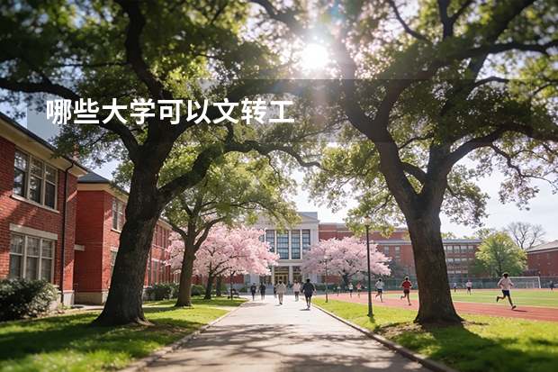 哪些大学可以文转工