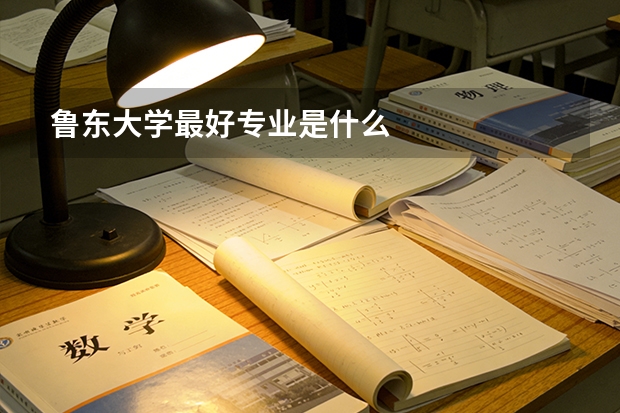 鲁东大学最好专业是什么