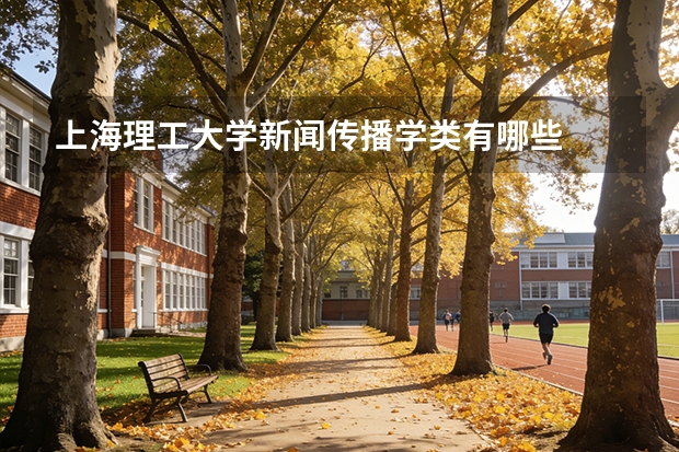 上海理工大学新闻传播学类有哪些