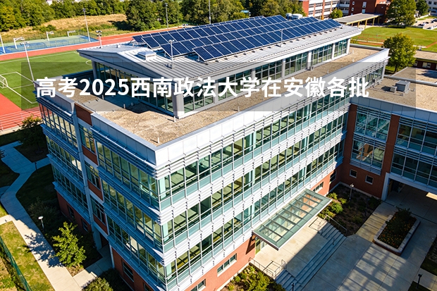 高考2025西南政法大学在安徽各批次选科要求（2026参考）