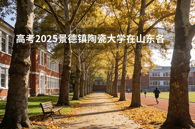 高考2025景德镇陶瓷大学在山东各批次选科要求（2026参考）