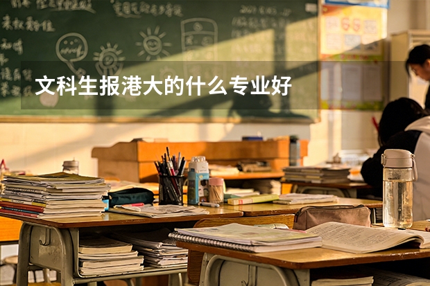 文科生报港大的什么专业好