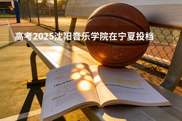 高考2025沈阳音乐学院在宁夏投档分数线（2026参考）