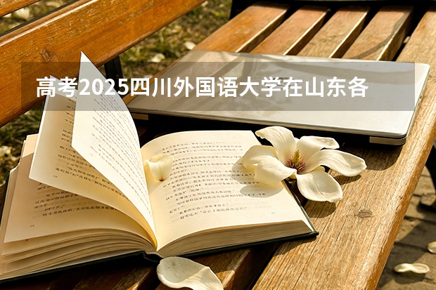 高考2025四川外国语大学在山东各批次选科要求（2026参考）
