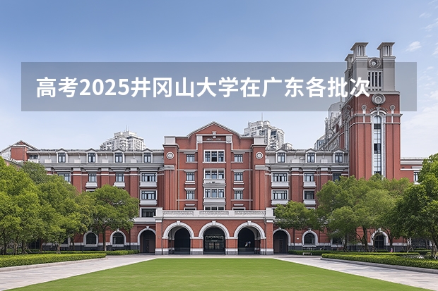 高考2025井冈山大学在广东各批次选科要求（2026参考）