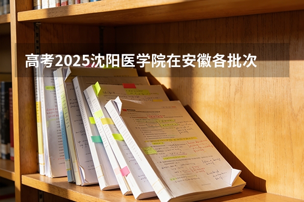 高考2025沈阳医学院在安徽各批次选科要求（2026参考）