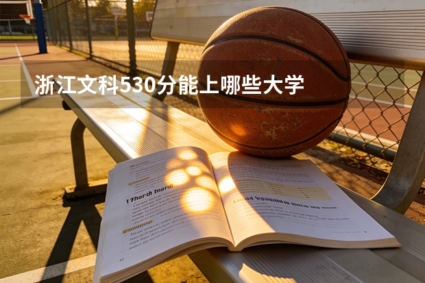 浙江文科530分能上哪些大学