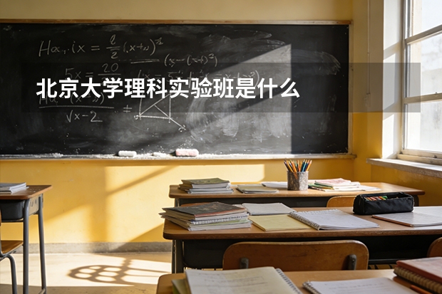 北京大学理科实验班是什么