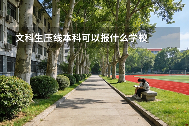 文科生压线本科可以报什么学校