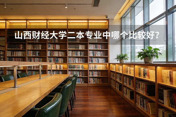 山西财经大学二本专业中哪个比较好？