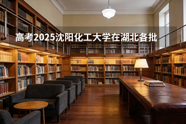 高考2025沈阳化工大学在湖北各批次选科要求（2026参考）