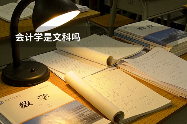 会计学是文科吗