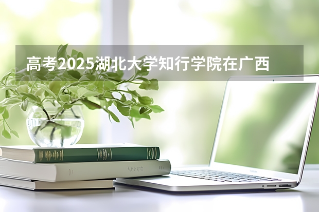高考2025湖北大学知行学院在广西艺术类投档分数线（2026参考）