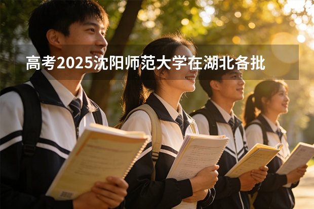 高考2025沈阳师范大学在湖北各批次选科要求（2026参考）