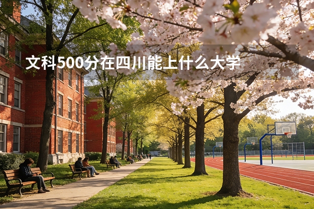 文科500分在四川能上什么大学