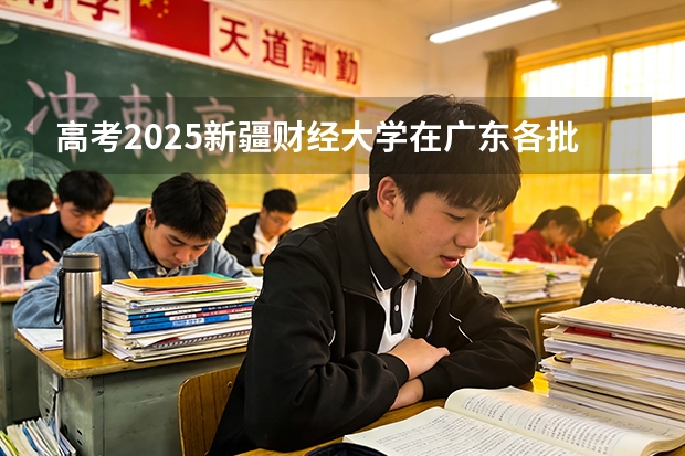 高考2025新疆财经大学在广东各批次选科要求（2026参考）