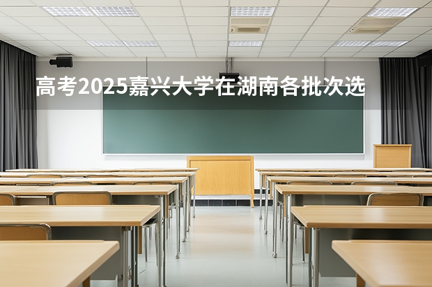 高考2025嘉兴大学在湖南各批次选科要求（2026参考）