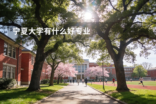 宁夏大学有什么好专业