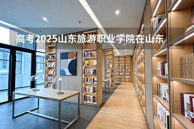 高考2025山东旅游职业学院在山东艺术类投档分数线（2026参考）